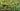 Vertical gardens